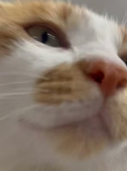 관이의 뽀뽀뽀뽀 뽀뽀뽀