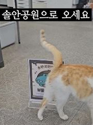 솔안광장으로 오세요