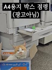 a4용지 박스와 관이