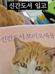 신간도서 입고 알림